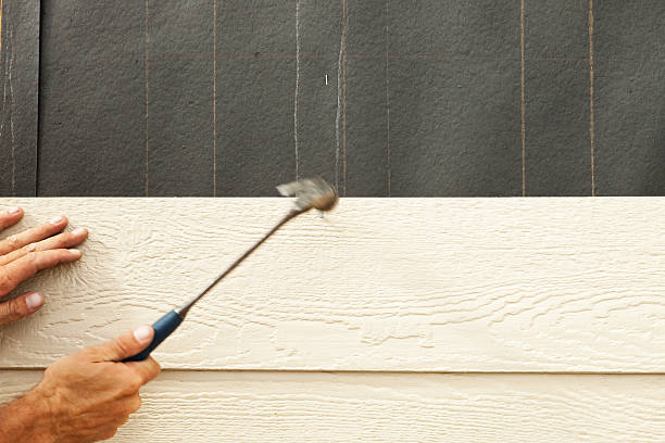 Best Stone Veneer Siding  in Pine Bush, NY